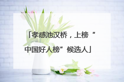 孝感池汉桥，上榜“中国好人榜”候选人