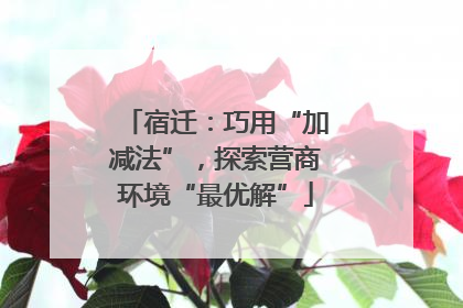 宿迁：巧用“加减法”，探索营商环境“最优解”