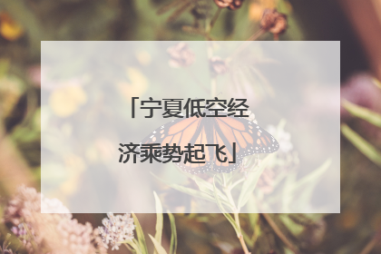 宁夏低空经济乘势起飞