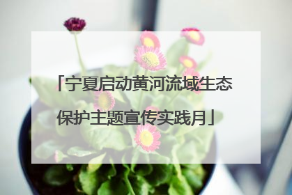 宁夏启动黄河流域生态保护主题宣传实践月