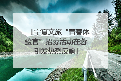 宁夏文旅“青春体验官”招募活动在蓉引发热烈反响