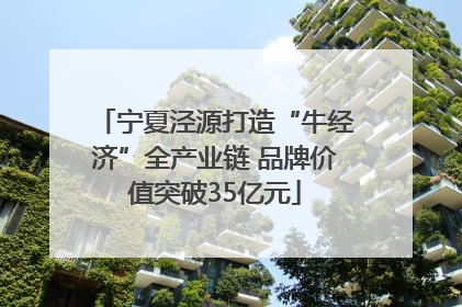 宁夏泾源打造“牛经济”全产业链 品牌价值突破35亿元