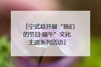 宁武县开展“我们的节日·端午”文化主题系列活动