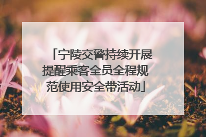 宁陵交警持续开展提醒乘客全员全程规范使用安全带活动