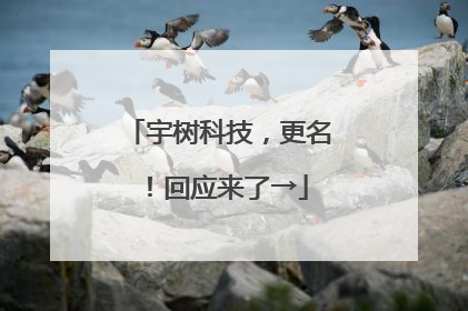 宇树科技，更名！回应来了→