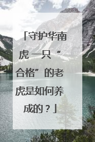 守护华南虎 一只“合格”的老虎是如何养成的？
