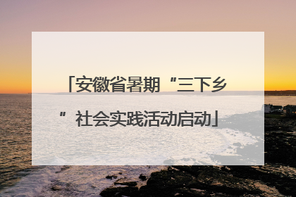 安徽省暑期“三下乡”社会实践活动启动