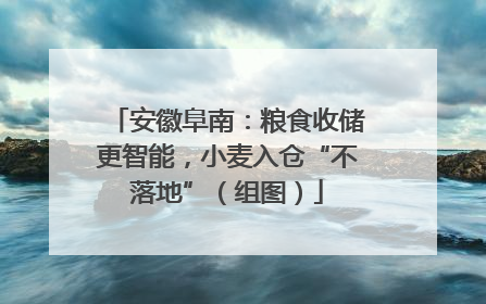 安徽阜南：粮食收储更智能，小麦入仓“不落地”（组图）