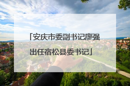 安庆市委副书记廖强出任宿松县委书记