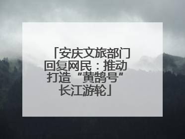 安庆文旅部门回复网民：推动打造“黄鹄号”长江游轮