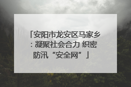 安阳市龙安区马家乡：凝聚社会合力 织密防汛“安全网”