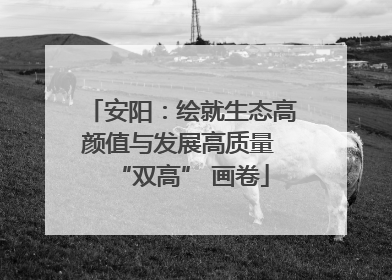 安阳：绘就生态高颜值与发展高质量 “双高” 画卷