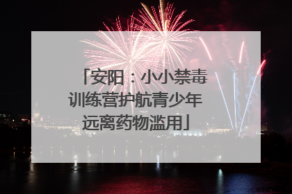 安阳：小小禁毒训练营护航青少年远离药物滥用