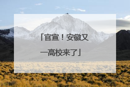 官宣！安徽又一高校来了