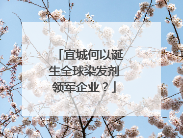 宜城何以诞生全球染发剂领军企业？