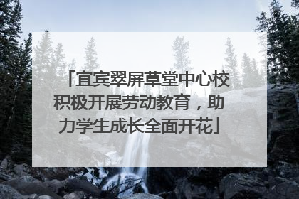 宜宾翠屏草堂中心校积极开展劳动教育，助力学生成长全面开花