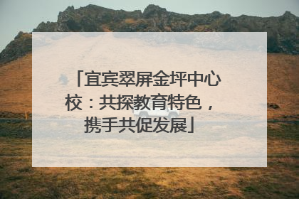 宜宾翠屏金坪中心校：共探教育特色，携手共促发展
