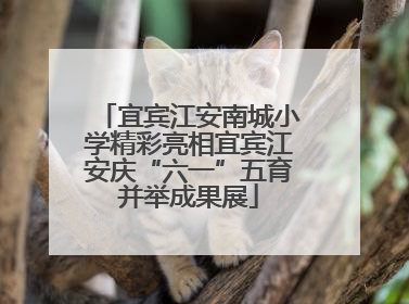 宜宾江安南城小学精彩亮相宜宾江安庆“六一”五育并举成果展