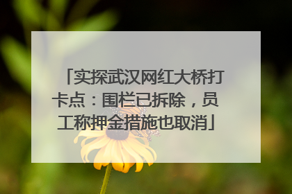 实探武汉网红大桥打卡点：围栏已拆除，员工称押金措施也取消