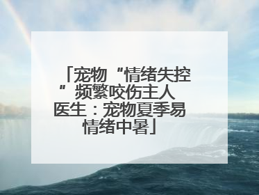 宠物“情绪失控”频繁咬伤主人 医生：宠物夏季易情绪中暑