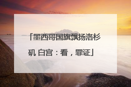 墨西哥国旗飘扬洛杉矶 白宫：看，罪证