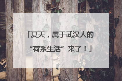 夏天，属于武汉人的“荷系生活”来了！