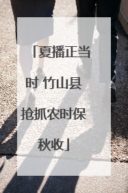 夏播正当时 竹山县抢抓农时保秋收