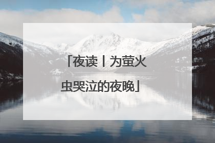 夜读丨为萤火虫哭泣的夜晚