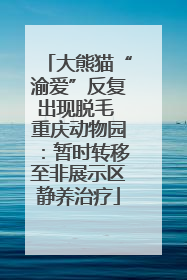 大熊猫“渝爱”反复出现脱毛 重庆动物园：暂时转移至非展示区静养治疗