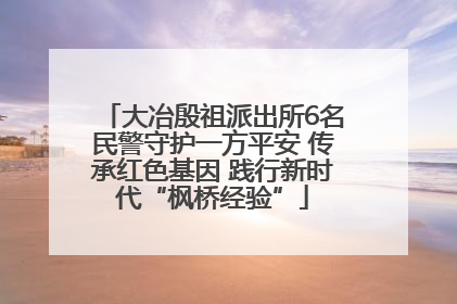 大冶殷祖派出所6名民警守护一方平安 传承红色基因 践行新时代“枫桥经验”