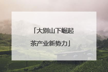 大别山下崛起茶产业新势力