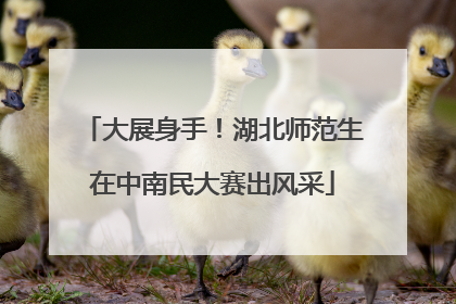 大展身手！湖北师范生在中南民大赛出风采