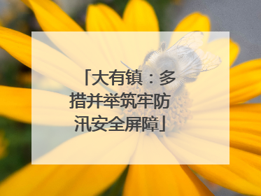 大有镇：多措并举筑牢防汛安全屏障