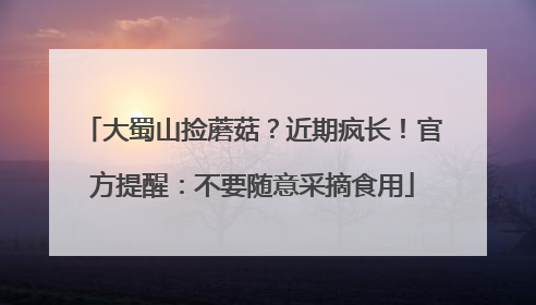 大蜀山捡蘑菇？近期疯长！官方提醒：不要随意采摘食用