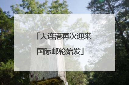 大连港再次迎来国际邮轮始发