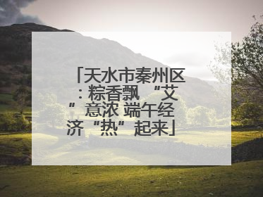 天水市秦州区：粽香飘 “艾”意浓 端午经济“热”起来
