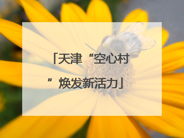 天津“空心村”焕发新活力