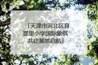天津市河北区育婴里小学国际象棋共建基地启航