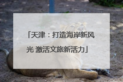 天津：打造海岸新风光 激活文旅新活力