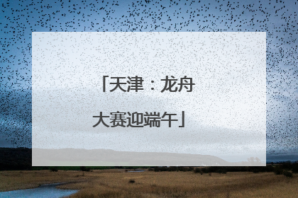 天津：龙舟大赛迎端午