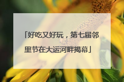 好吃又好玩，第七届邻里节在大运河畔揭幕
