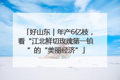 好山东｜年产6亿枝，看“江北鲜切玫瑰第一镇”的“美丽经济”