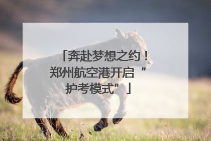 奔赴梦想之约！郑州航空港开启“护考模式”