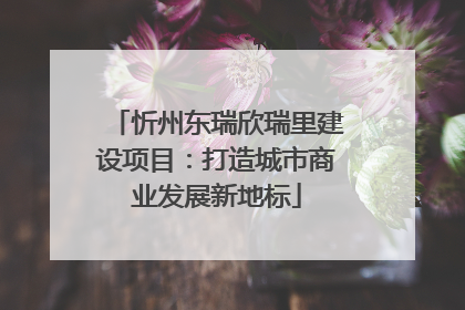 忻州东瑞欣瑞里建设项目：打造城市商业发展新地标