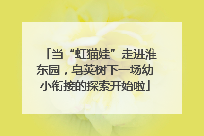 当“虹猫娃”走进淮东园，皂荚树下一场幼小衔接的探索开始啦