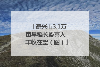 德兴市3.1万亩早稻长势喜人 丰收在望（图）