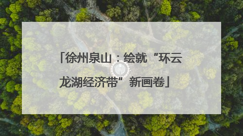 徐州泉山：绘就“环云龙湖经济带”新画卷