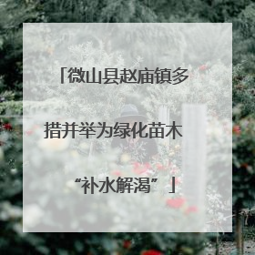 微山县赵庙镇多措并举为绿化苗木“补水解渴”