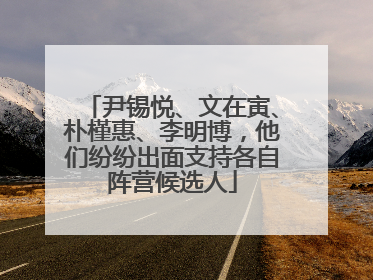 尹锡悦、文在寅、朴槿惠、李明博，他们纷纷出面支持各自阵营候选人
