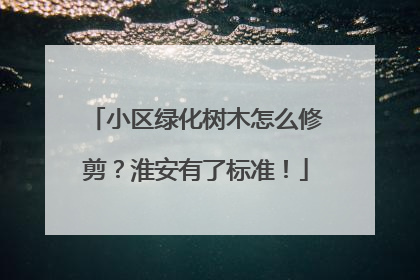小区绿化树木怎么修剪？淮安有了标准！